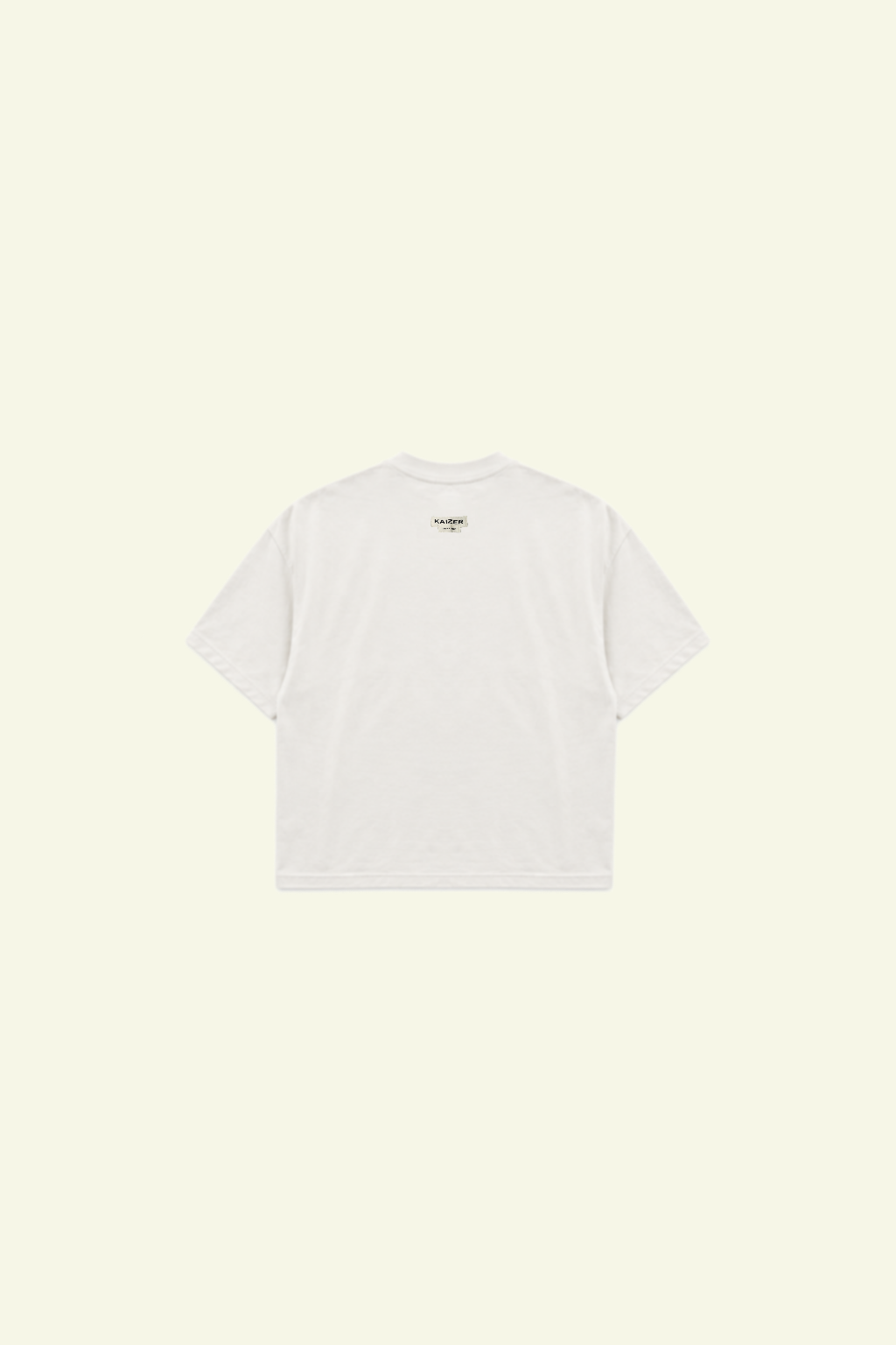 TRUTH IS SUBJECTIVE T SHIRT